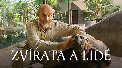 Zvířata a lidé