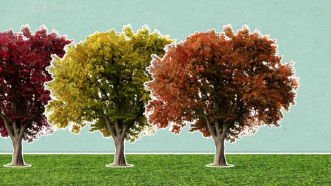 To je něco! - Proč mění listy na podzim barvu?