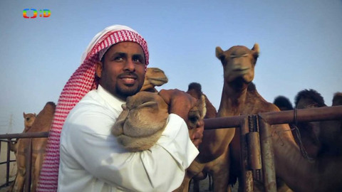 Cestohrátky - Saudská Arábie