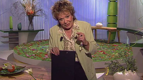 Dobrá rada nad zlato - 7. května 2006