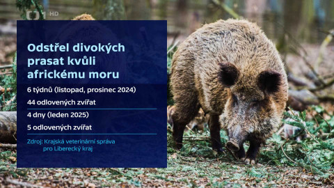 Události v regionech (sever a východ) - 23. ledna