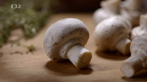 Boží dar - příběhy českých potravin - 4/9 Příběh žampionu a hlívy ústřičné