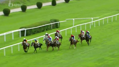 Turf - 24. září 2014