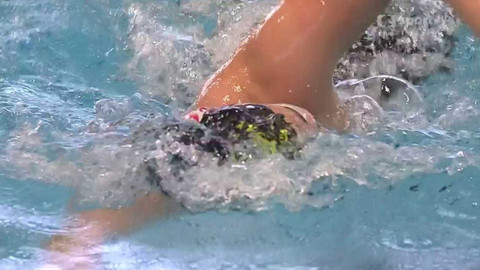 Plavání - Plzeňské sprinty