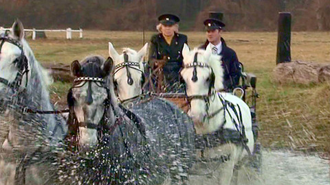 Žiješ jenom 2x - Ať se práší za kočárem...