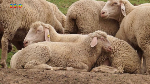 Tamtam - 11. května 2019