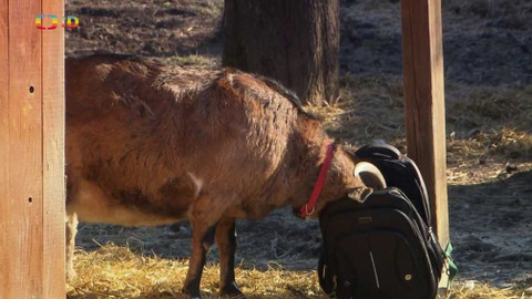 Terčin zvířecí svět - 9. dubna 2021