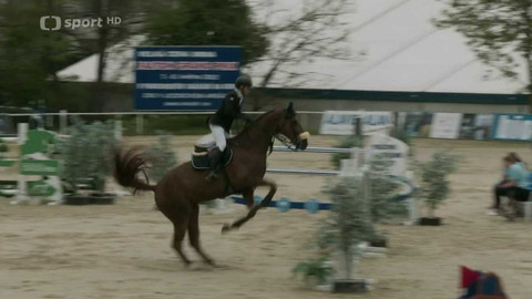 Jezdectví - VC Brno