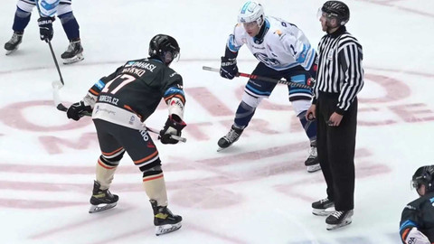 Univerzitní liga ledního hokeje - UNIted HK - VŠE Falcons Prague