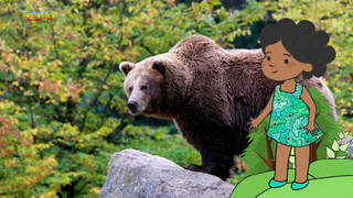 Velká kniha o zvířátkách II