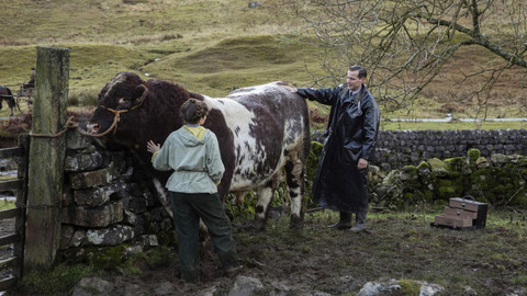 Všechny velké a malé bytosti - 4/7 Případ Tricki