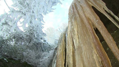 Týden v regionech (Brno) - 1. února 2020