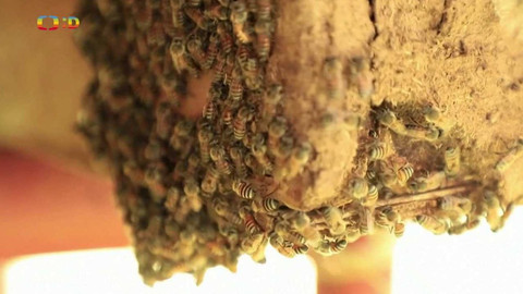 Zprávičky - 9. června 2023