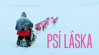 Psí láska