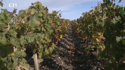 Postřehy odjinud - Západ Francie očima Jana Šmída