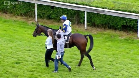 Jezdectví - I. kvalifikace na Velkou pardubickou