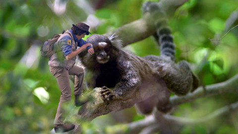 Andy na safari - Kosman