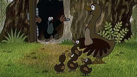 O krtkovi - Krtek a kachničky