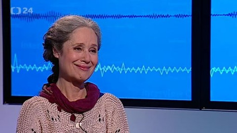 Interview ČT24 - 29. listopadu 2013