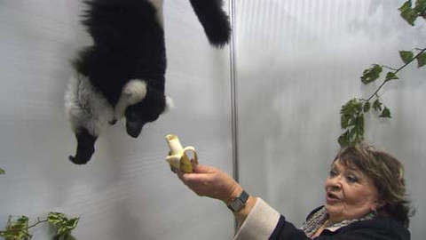 Hobby naší doby - 31. ledna 2015