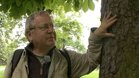 Mizející místa domova - Čtrnáct svatých pomocníků