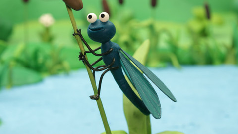 Žížaláci - Vážka