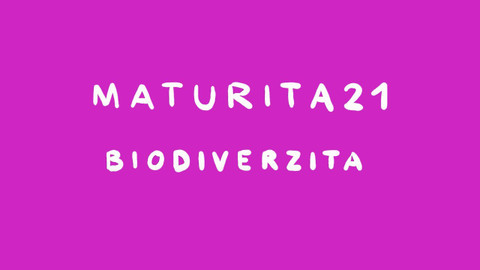 Učíme se s Knihovnou Václava Havla - Maturita 21: David Storch