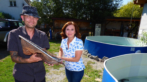 Toulavá kamera - Za rodinným stříbrem - 8/8 Středočeský a Jihočeský kraj