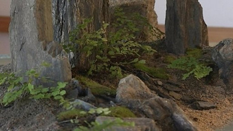 Zahrada je hra - 21. února 2008