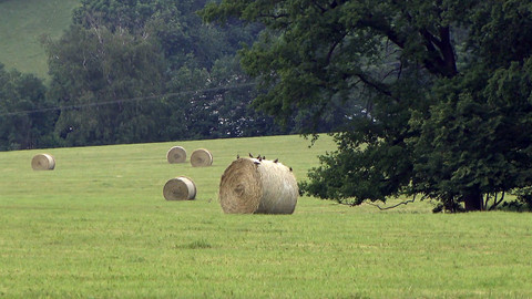 Nedej se! - Komu patří Sudety