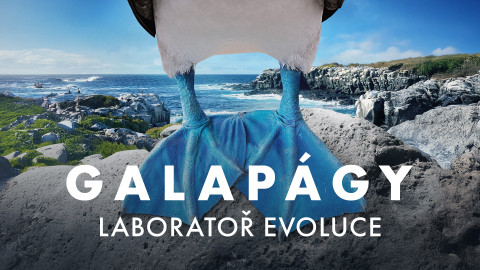 Galapágy - laboratoř evoluce