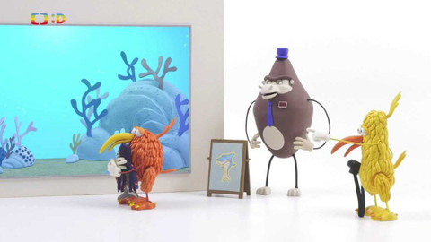 Hravá angličtina s ptáčky kiwi - Akvárium