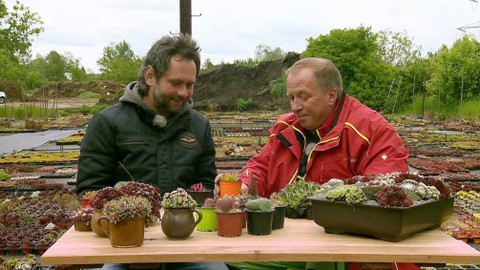 Polopatě - 2. června 2019