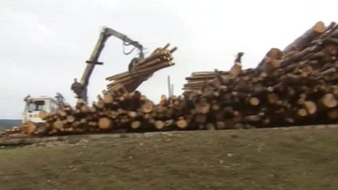 Kvarteto - 20. května 2010