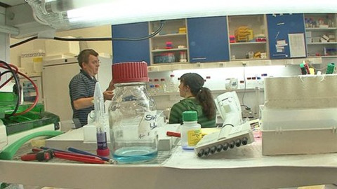 O vědě a vědcích - Šifry života