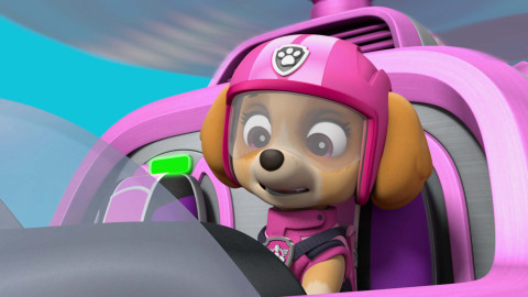 Tlapková patrola - Velká záchrana: Tlapky zachraňují tygry