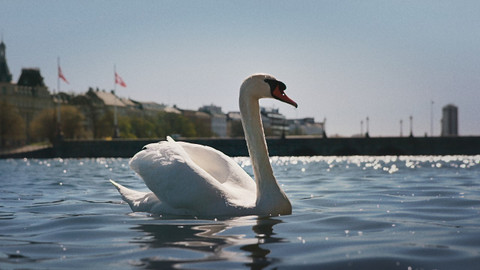 Nádherná příroda Dánska - 2/5 Moře a pobřeží