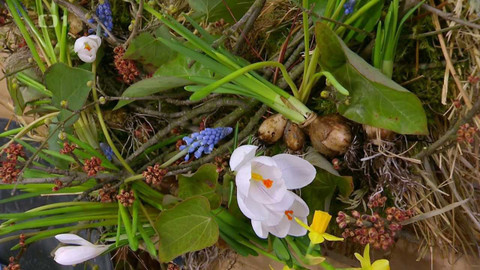 Polopatě - 12. března 2023