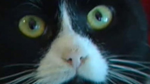 Chcete mě? - Chcete je?