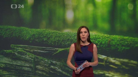 Horizont ČT24 - 11. září 2017