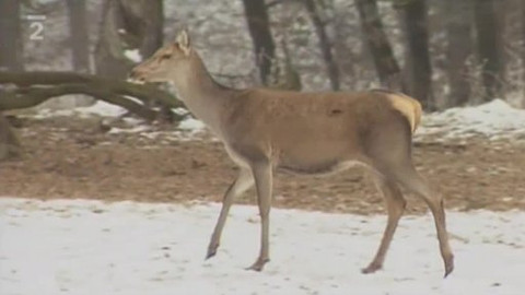Přidej se - Národní parky
