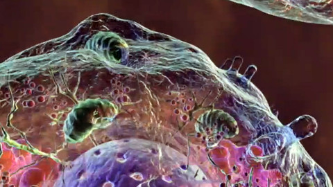 Dobrodružství vědy a techniky - Léčba molekulami