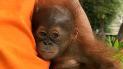 Objektiv - 23. března 2014