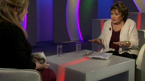 Hobby naší doby - Letní speciál