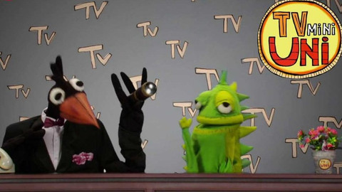 TvMiniUni - 2/21 Jak funguje gravitace? Jak to proudí ve žraločím žaludku?