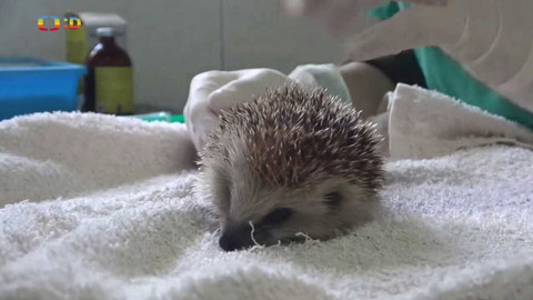 Zprávičky - 13. dubna 2022