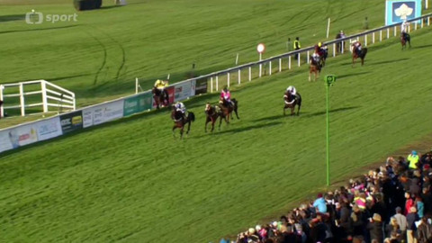 Turf - 14. října 2015