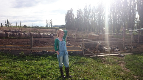 Farmářská jízda - 4/16 Prasata ze Sasova