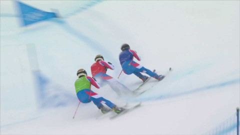 XXV. zimní olympijské hry 2026 Milano Cortina - Freestyle lyžování