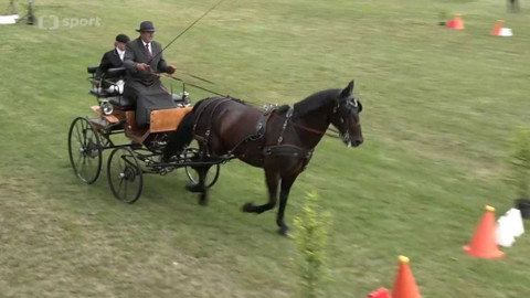 Jezdectví - Závody spřežení s mezinárodní účastí CAN3* Nebanice